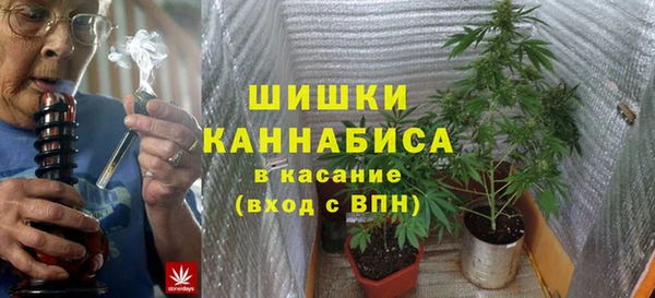 PSILOCYBIN Баксан