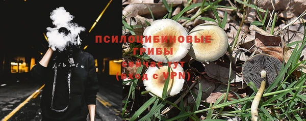 стафф Снежногорск