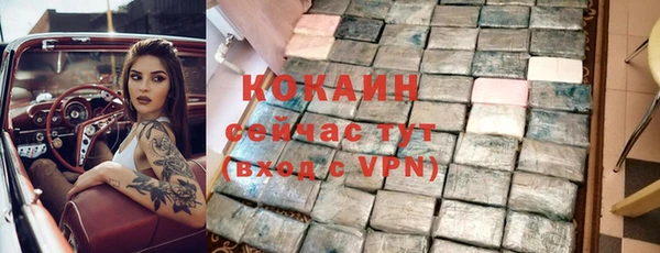 стафф Снежногорск