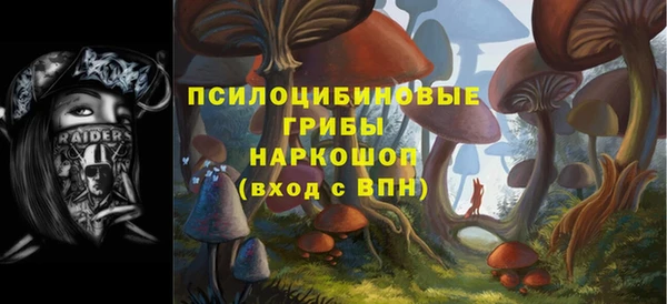 герыч Снежинск