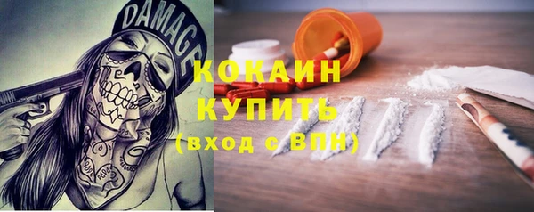 стафф Снежногорск